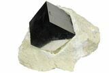 Huge, Natural Pyrite Cube In Rock - Navajun, Spain #151275-1